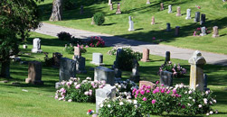 White Funeral Homes Farmington